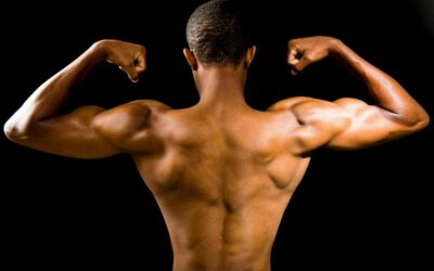 Introduction au masculinisme comme prisme des masculinités