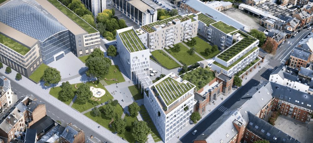 Un regard genré sur les espaces verts